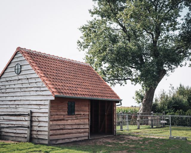 Bijgebouw