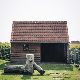 Bijgebouw